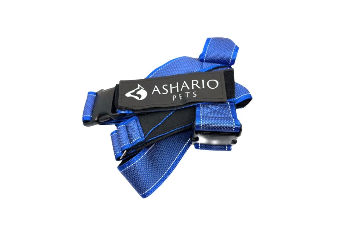 Ashario Pets - "BreezyVest" Summer Lightweight Reflective Harness - Blue - XS