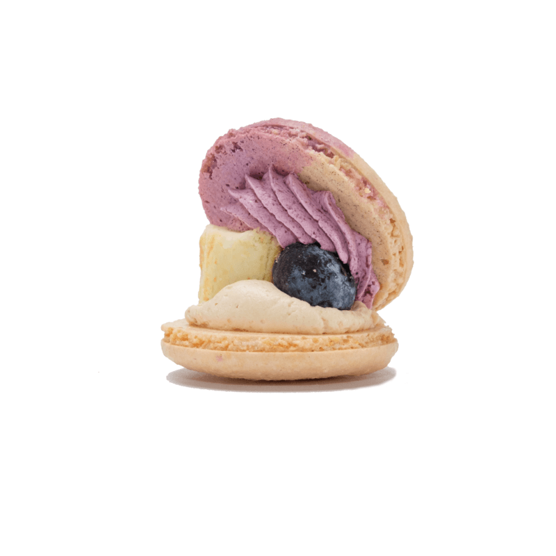 Blueberry Cheesecake Macaron