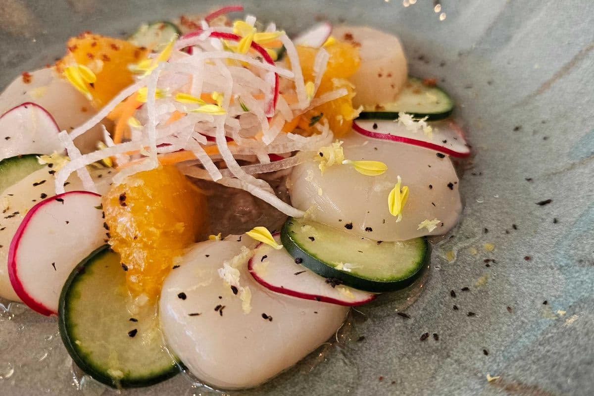 Hokkaido wild scallop crudo