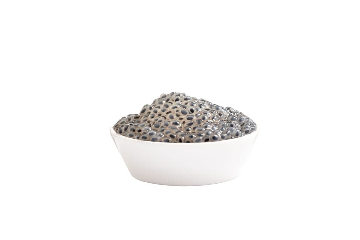 Basil Seed