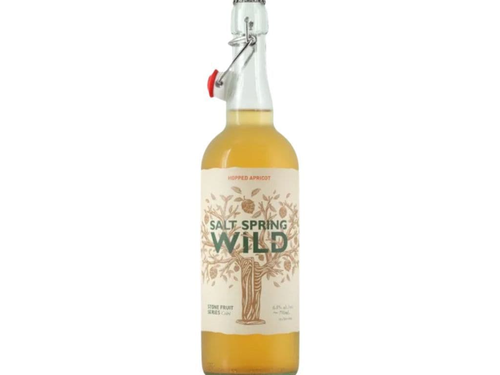 Salt Spring Wild Cider - Hopped Appricot