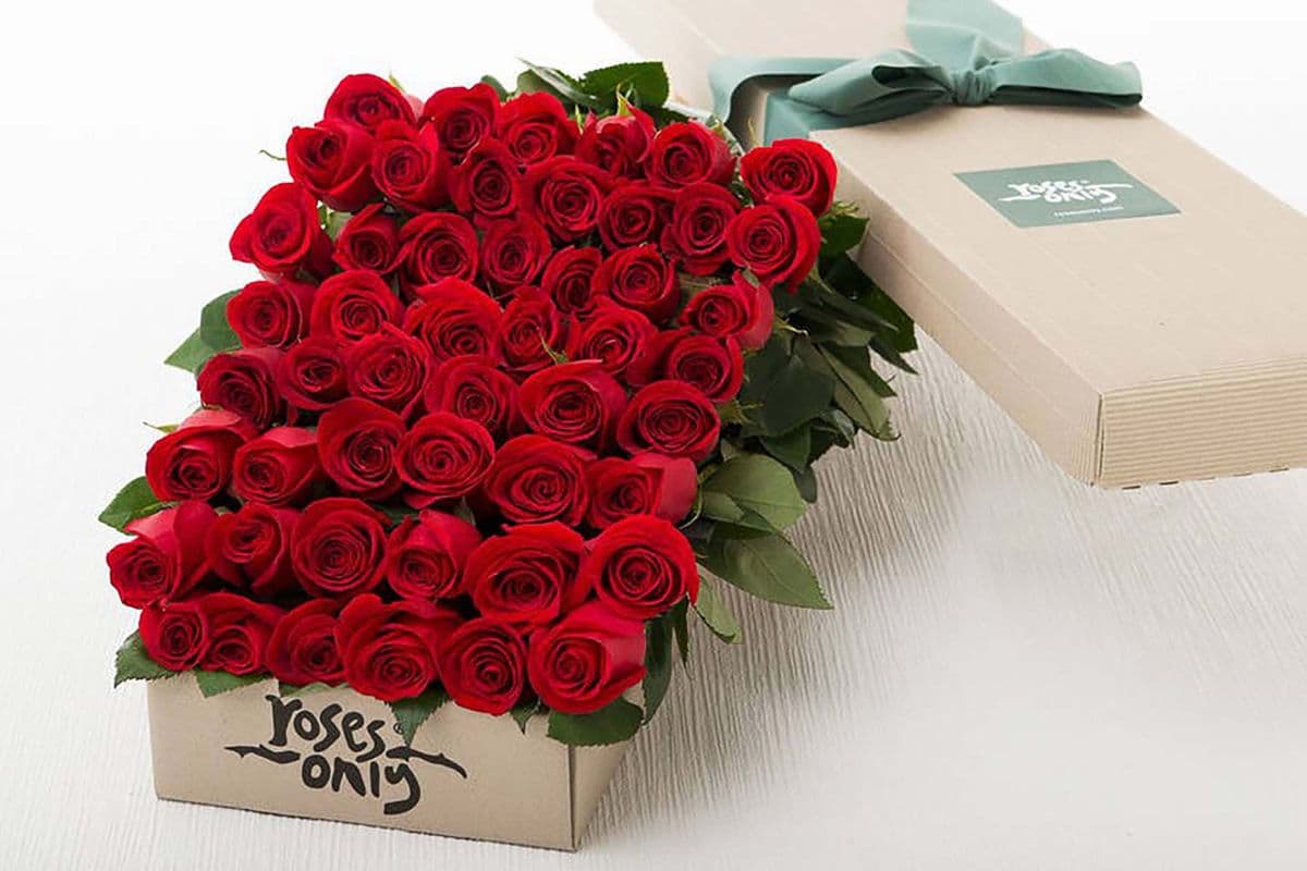 24 Extra Long Stem - Red Roses Boxed