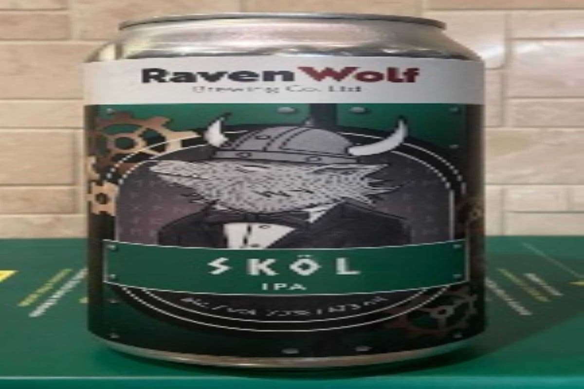 SKOL IPA 4 CAN (1 x 4 CANS)