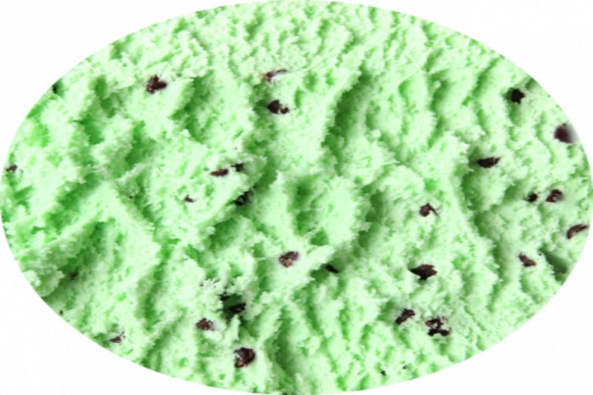 Mint Chocolate Chip