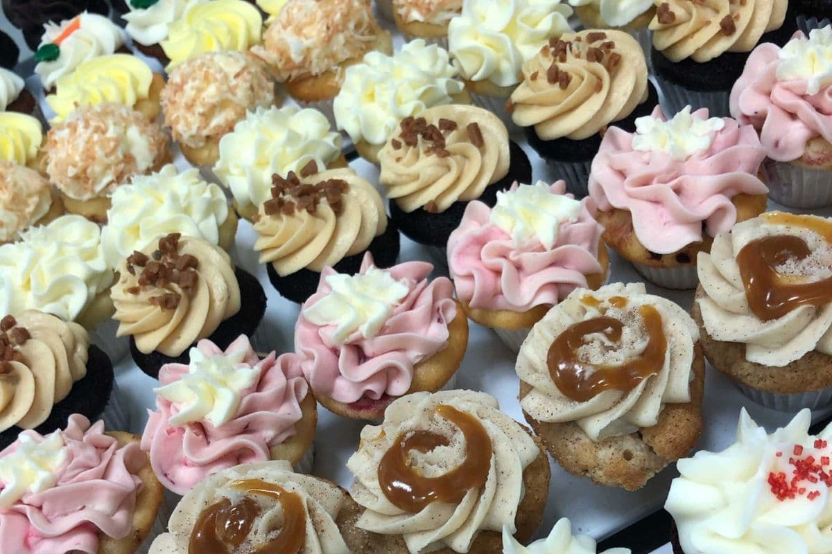 12 Assorted Mini Cupcakes