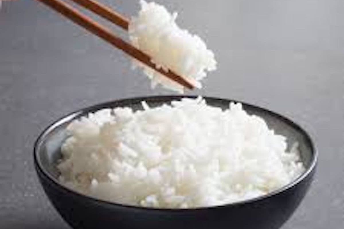 Rice