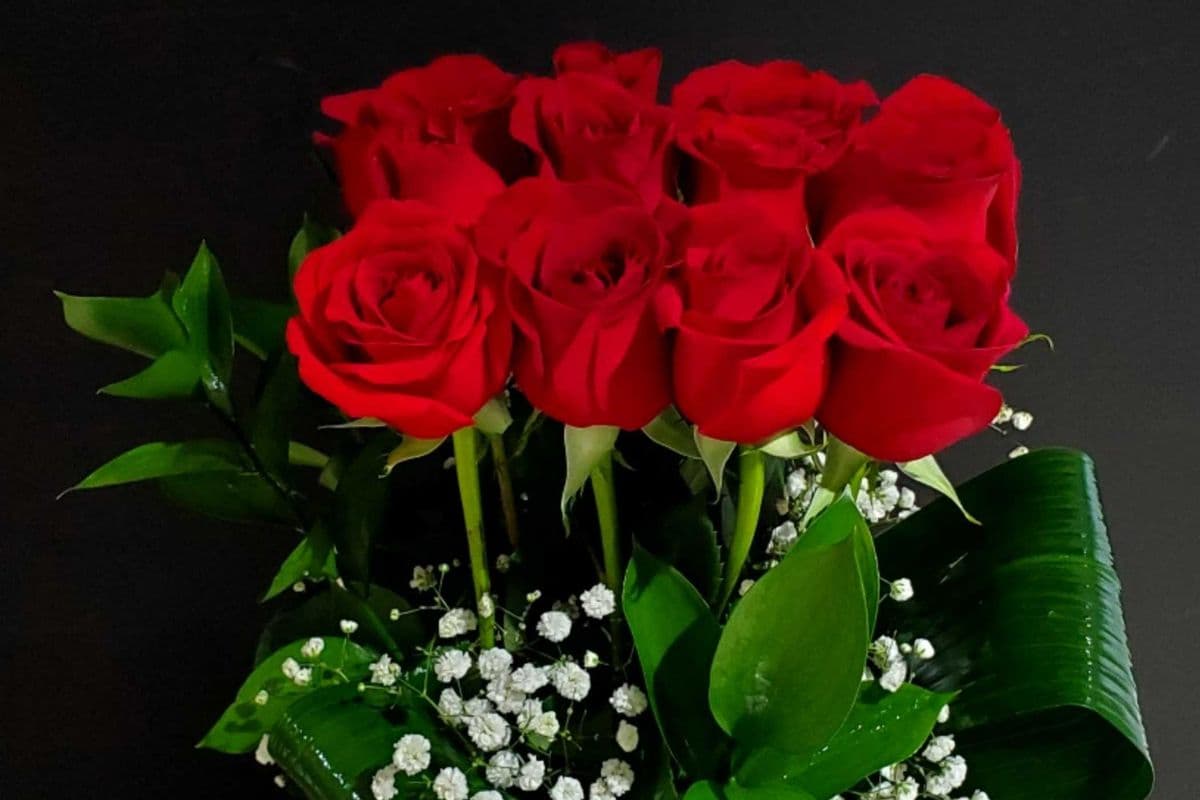 Dozen Red Roses in a Black Cube with Baby's Breath