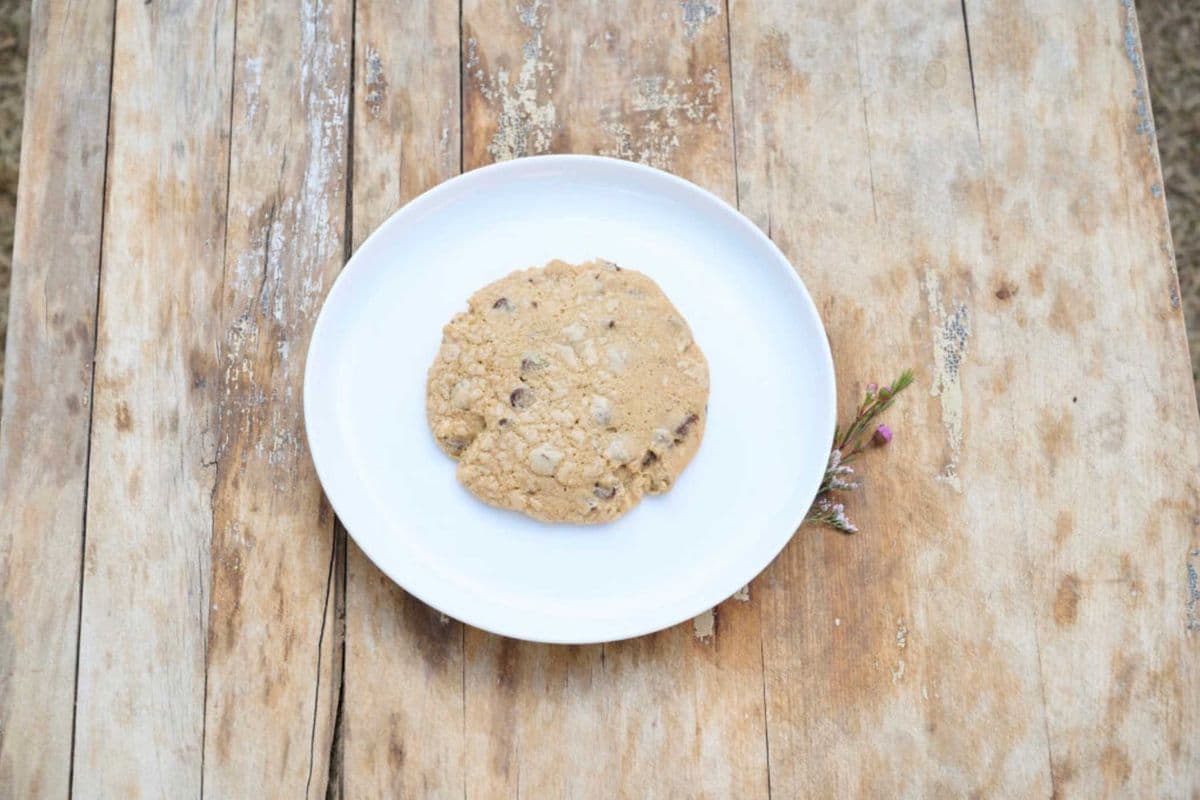 Chocolate Chip Cookie