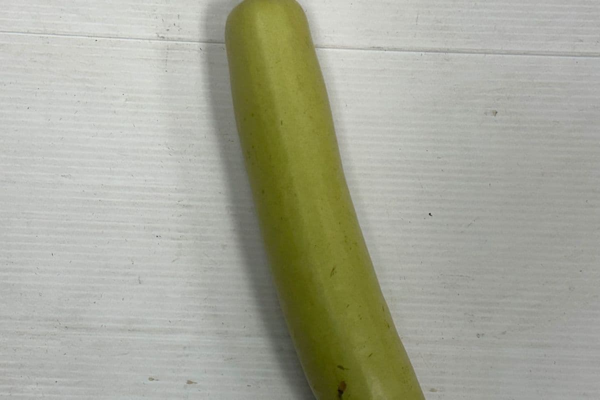 Long Indian Squash 2.69/LB (1 LB)