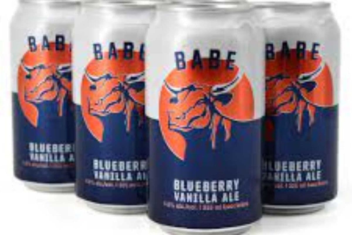 BABE BLUEBERRY VANILLA ALE 6CAN (1 x 6x355.00 ml)