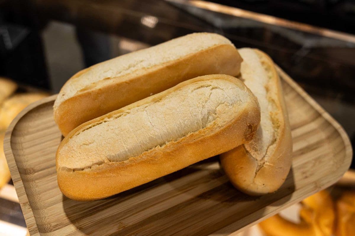 Panini Bun
