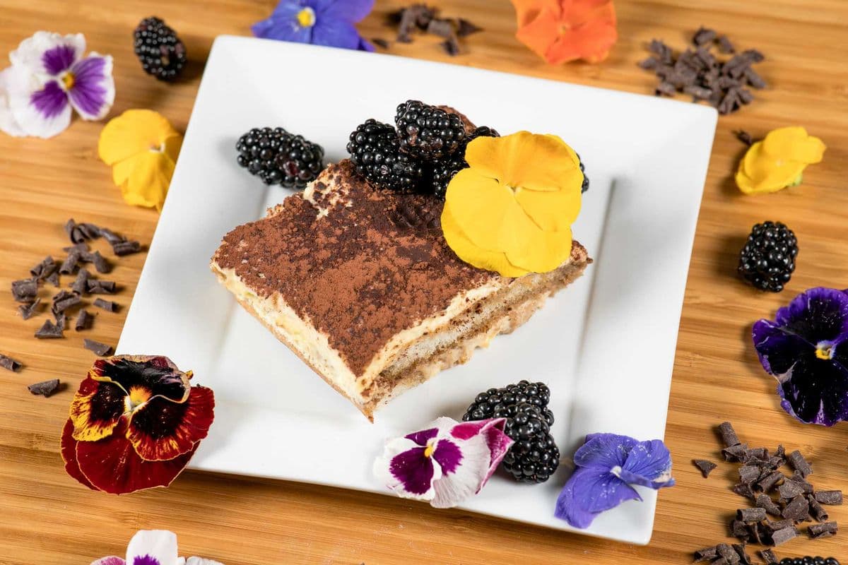 Homemade Tiramisu