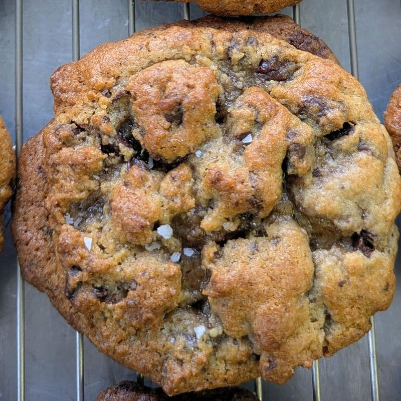 Chocolate chip cookie