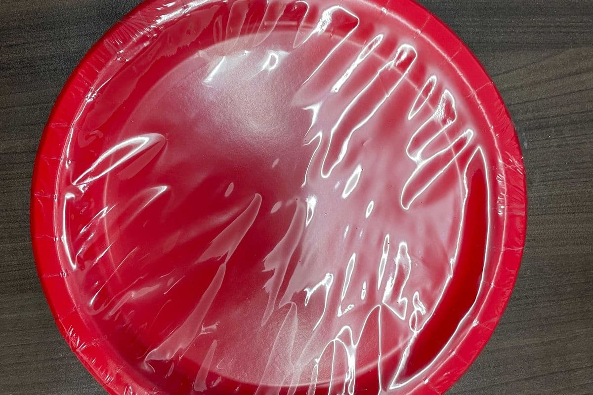 8 Ruby Red 9" Plates (8 Pack)