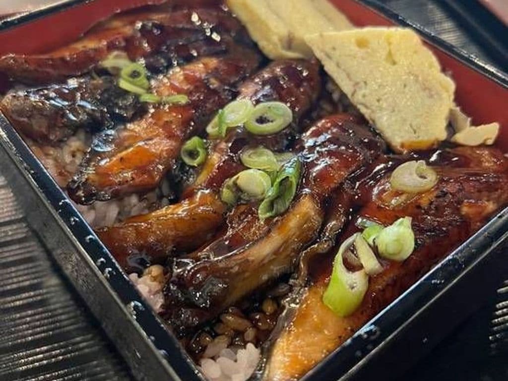 Unagi Don