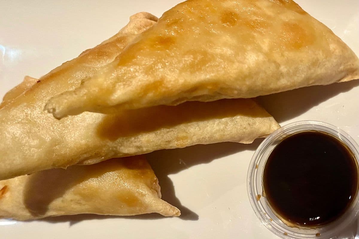 Chickpea Veggie Samosas