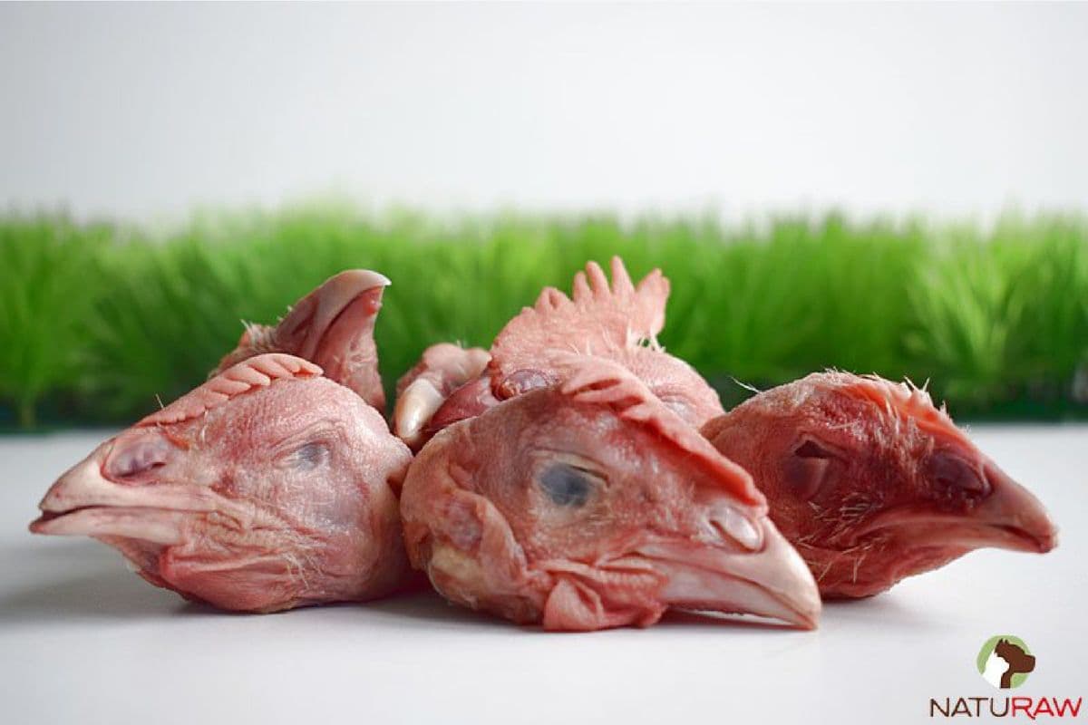 Free-Range Chicken Heads
