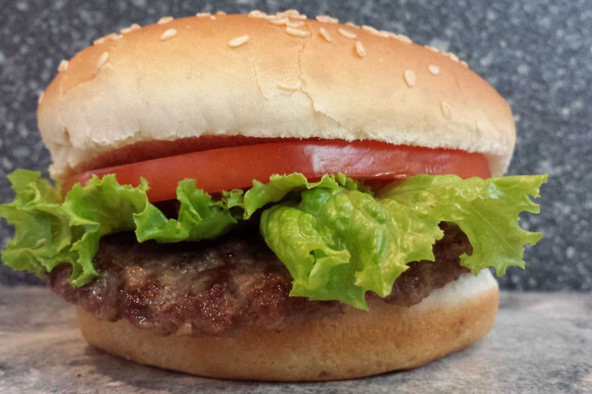 Burger régulier / Regular Burger