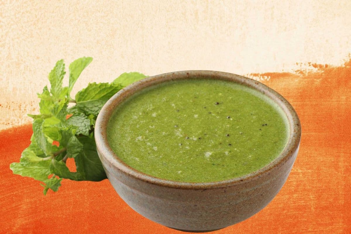 Mint Sauce Dipping