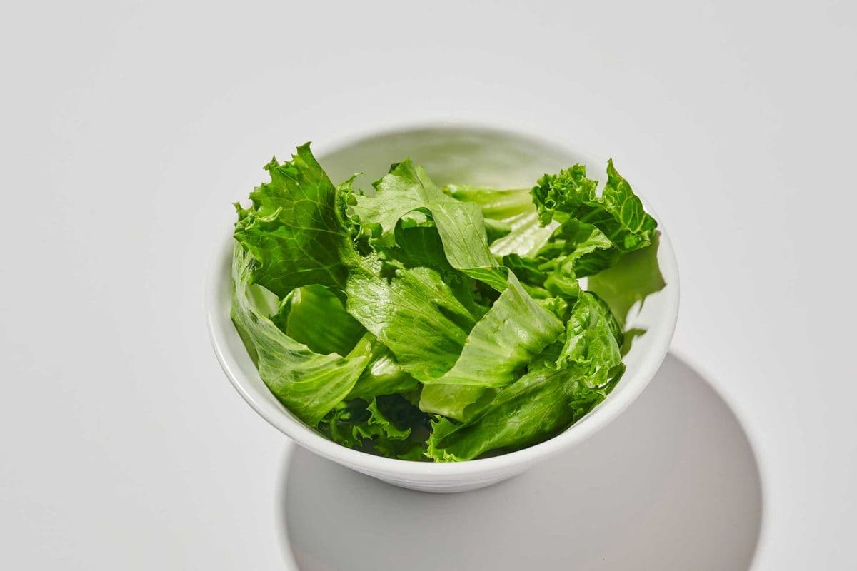 Laitue / Lettuce