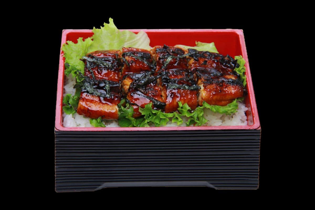 Unagi Don