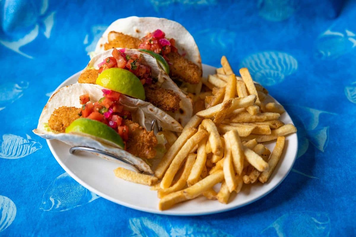 Salmon Tacos