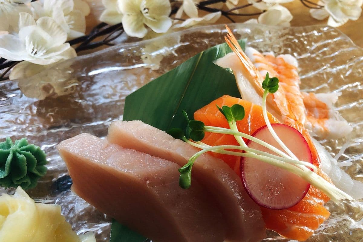 Appetizer Sashimi