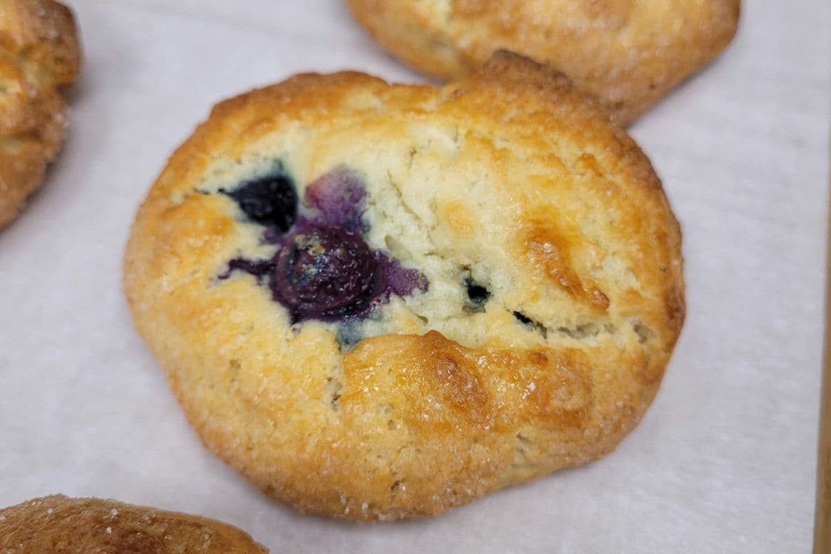 Blueberry Scone