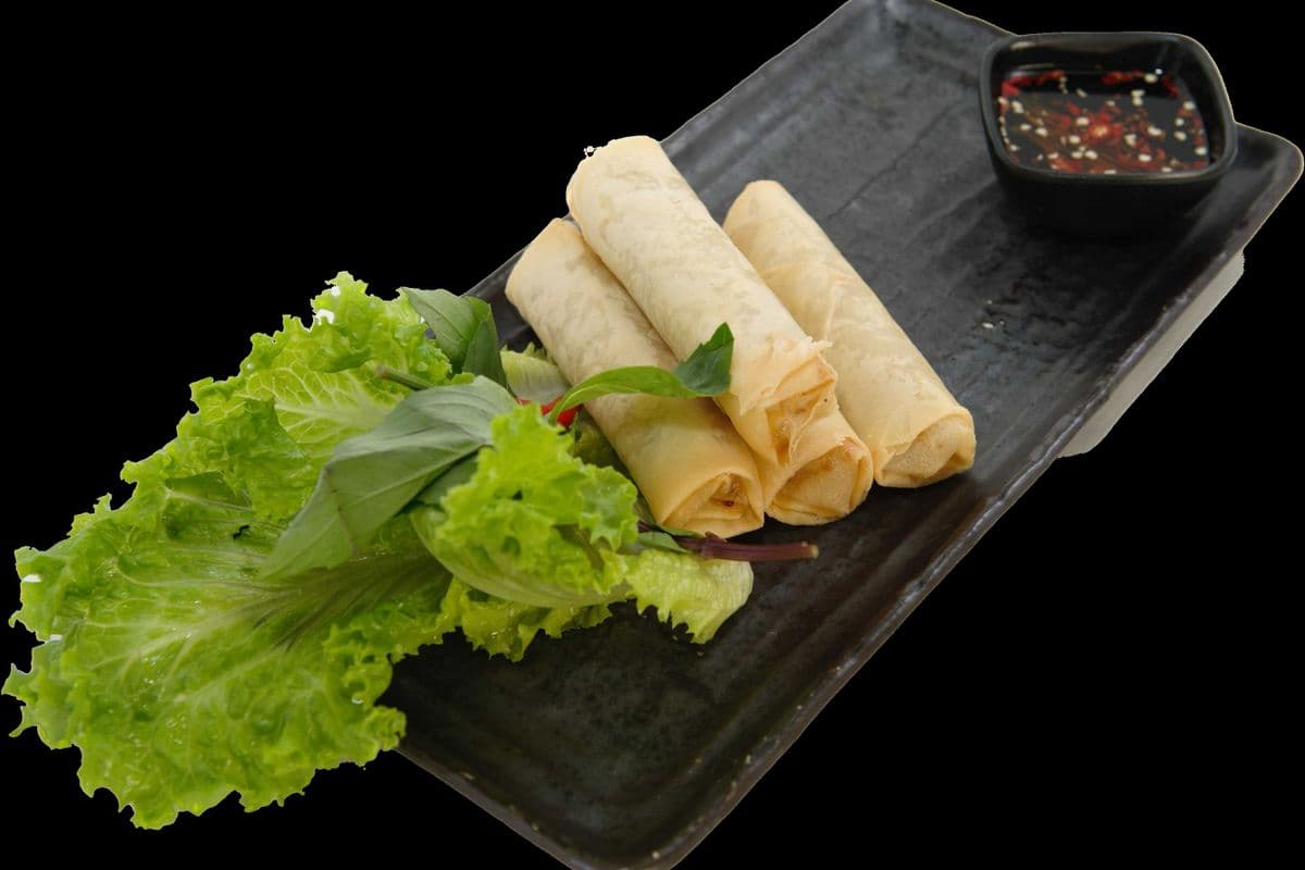 Homemade Vietnamese Spring Rolls