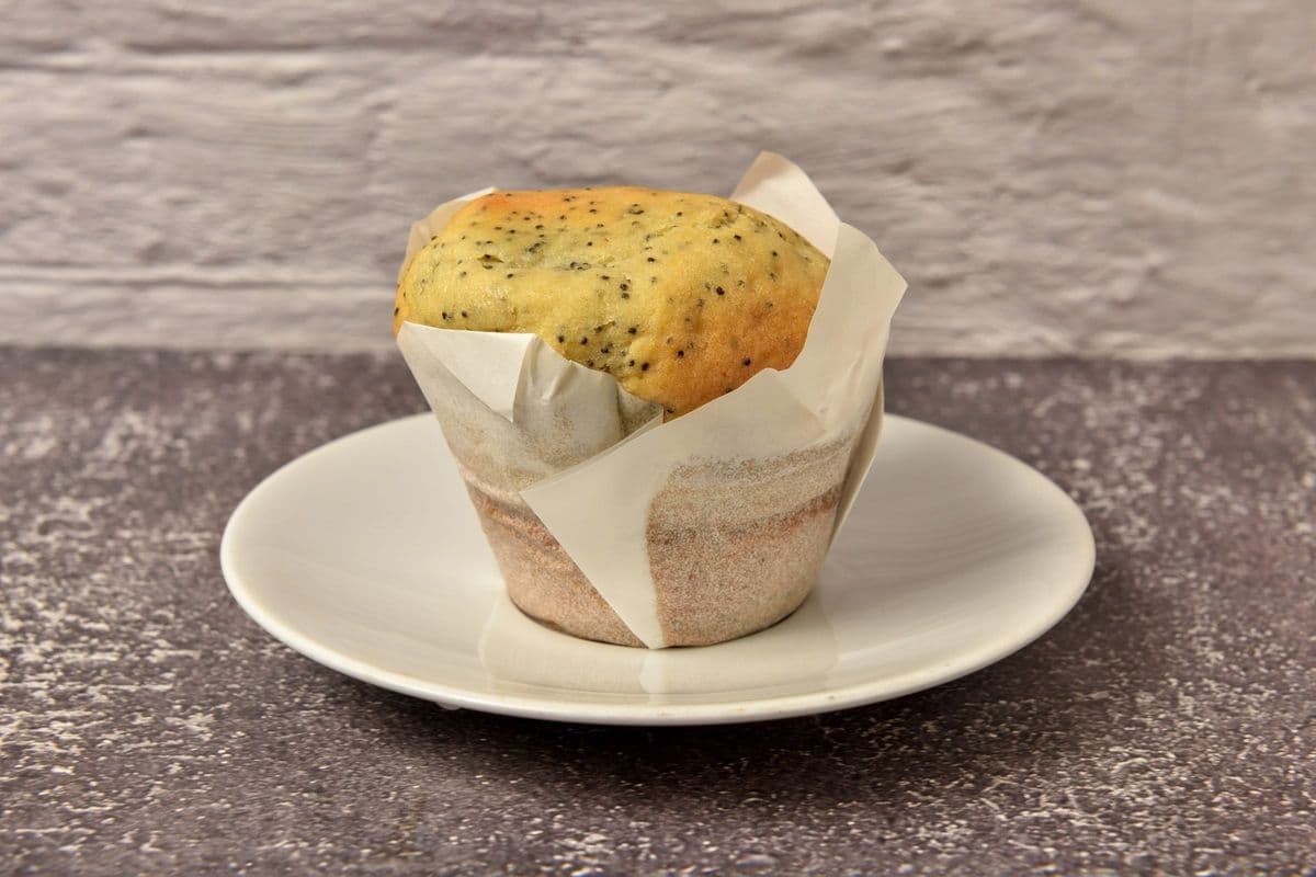 Lemon Poppy Muffins