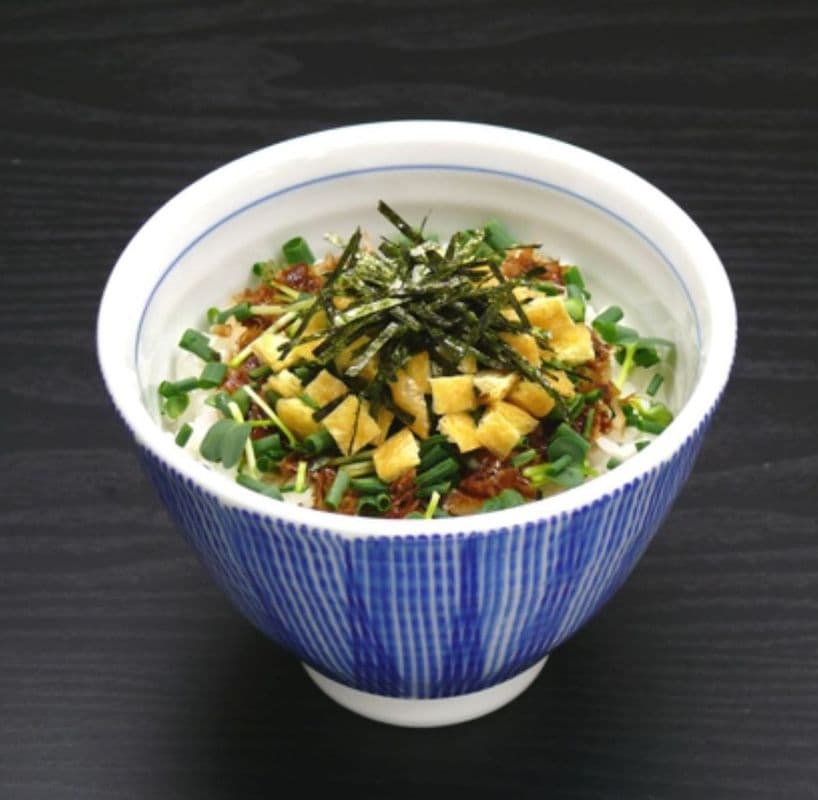 Negi Meshi ネギ飯