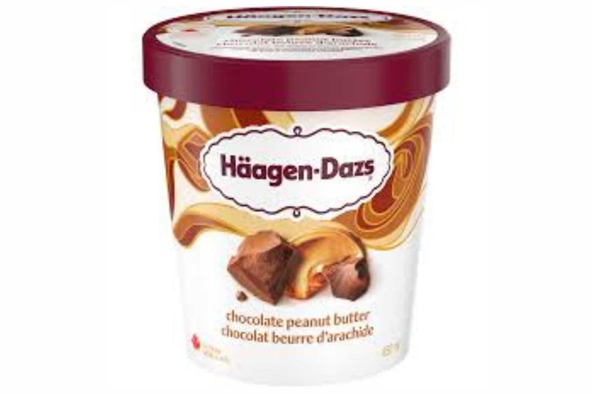 Häagen-Dazs Ice Cream Chocolate Peanut Butter (450 ml)