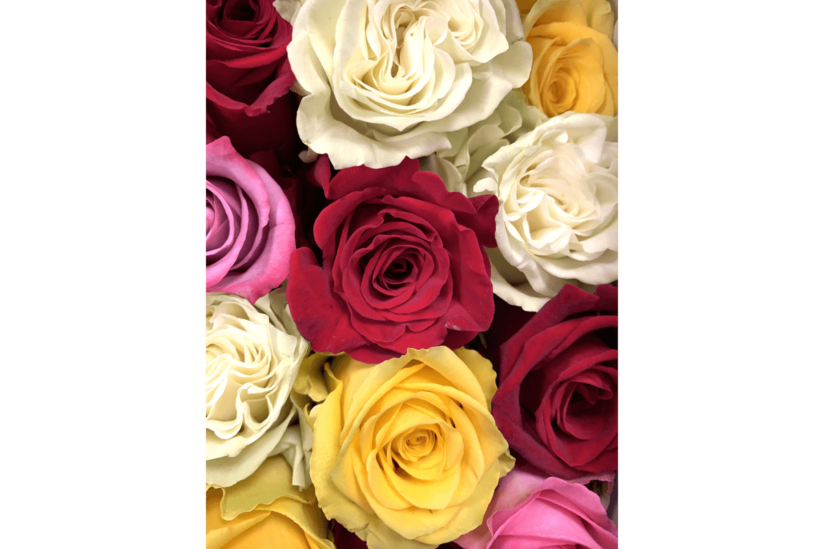 6 Rose Bouquet