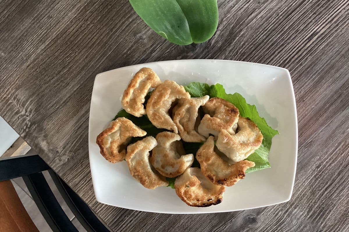 House Pan-fried Dumplings (10 pcs)