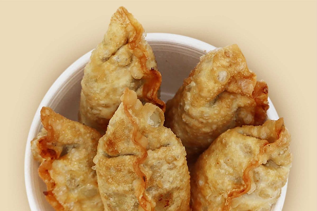 Fried Dumplings (Veg)