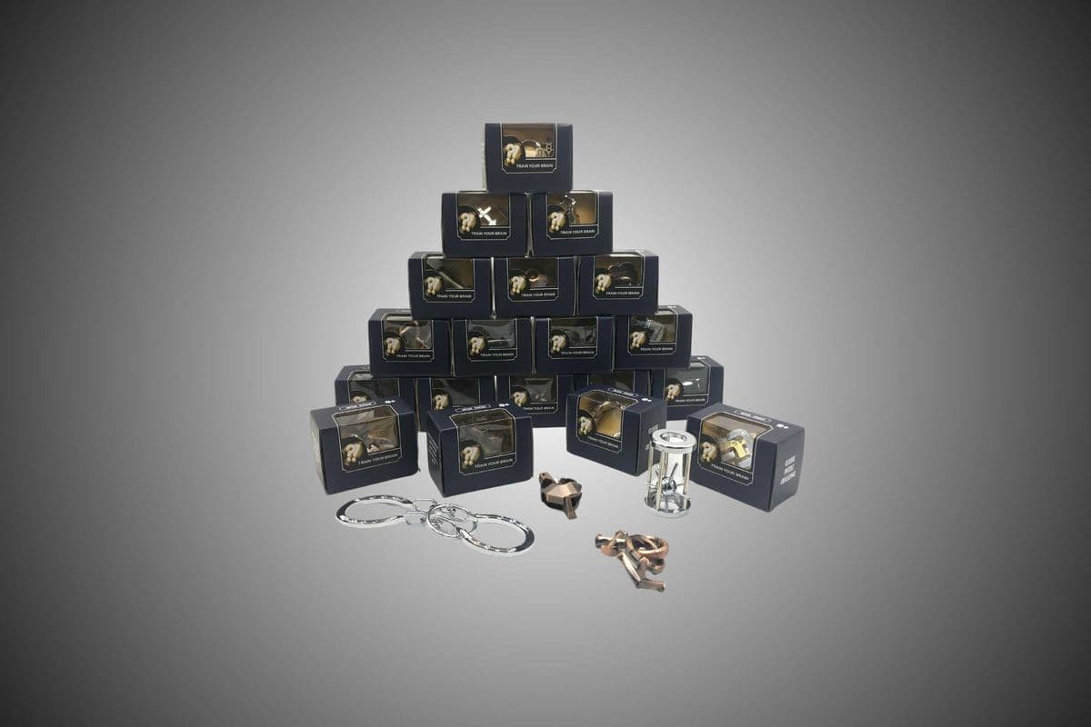 Hanayama Puzzle