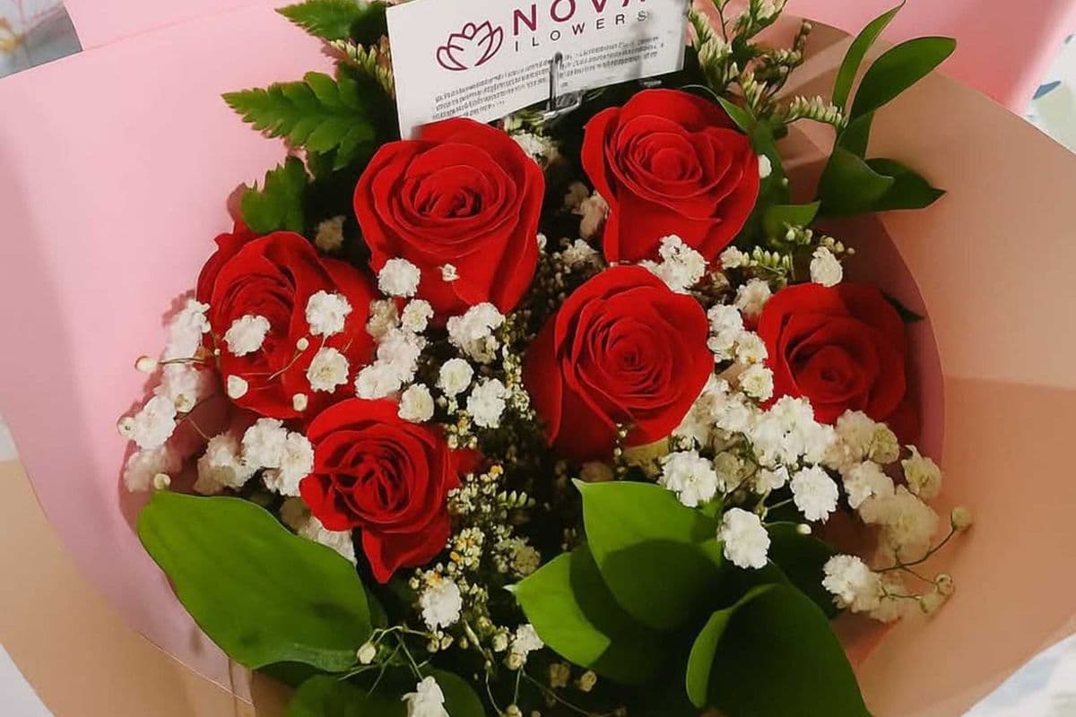 Sweetheart (Medium)