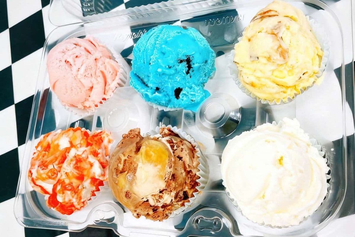 6-Scoop Variety Pack (Pre-packed without flavour specification)