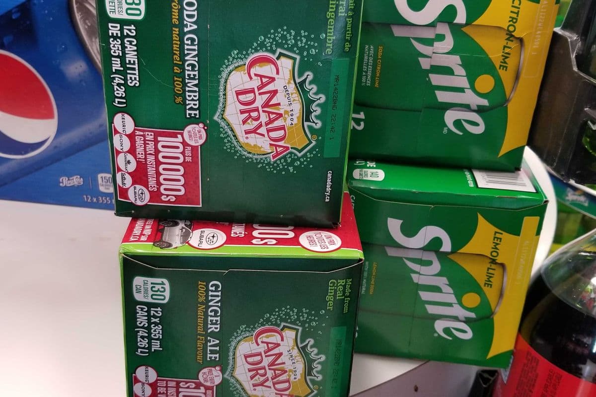 Ginger Ale (12 Packs) Cans