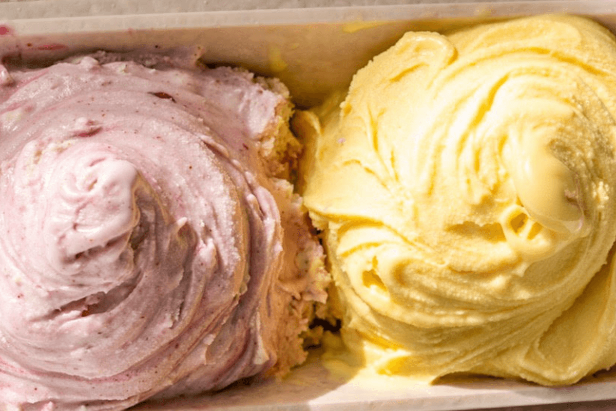 Gelato Container (400 g)