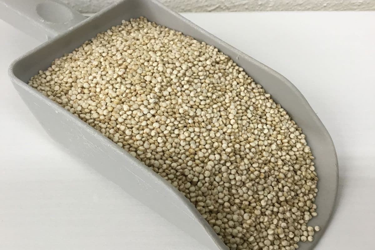 Quinoa White (Organic) (1 Cup /210 g)