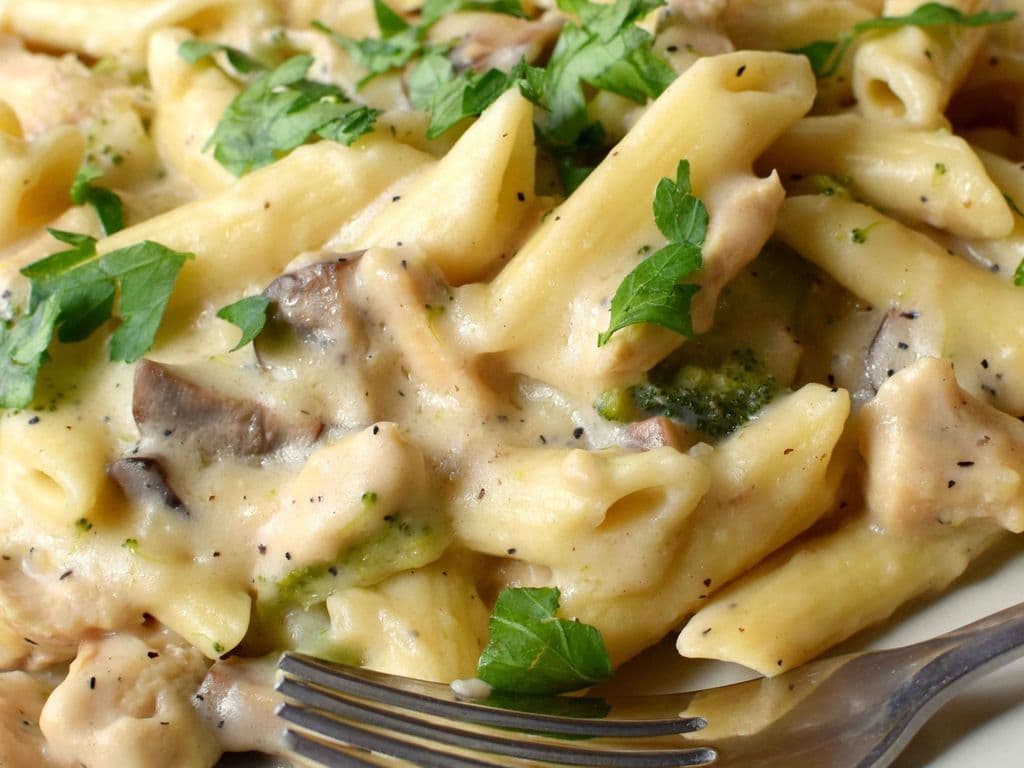 Chicken Alfredo