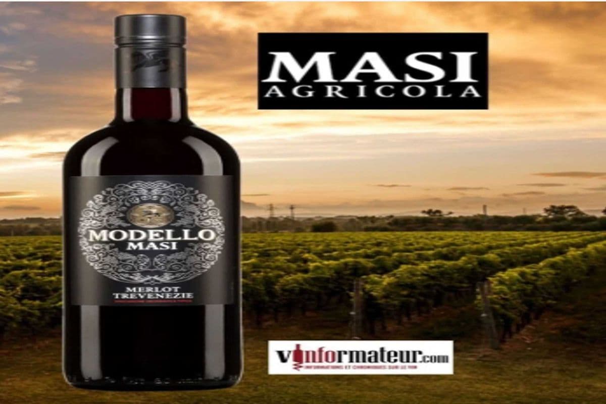 MASI MODELLO MERLOT (1 x 750ML)