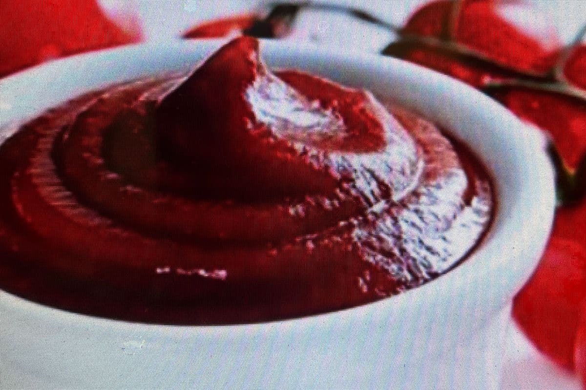 extra ketchup on the side(蕃茄酱)