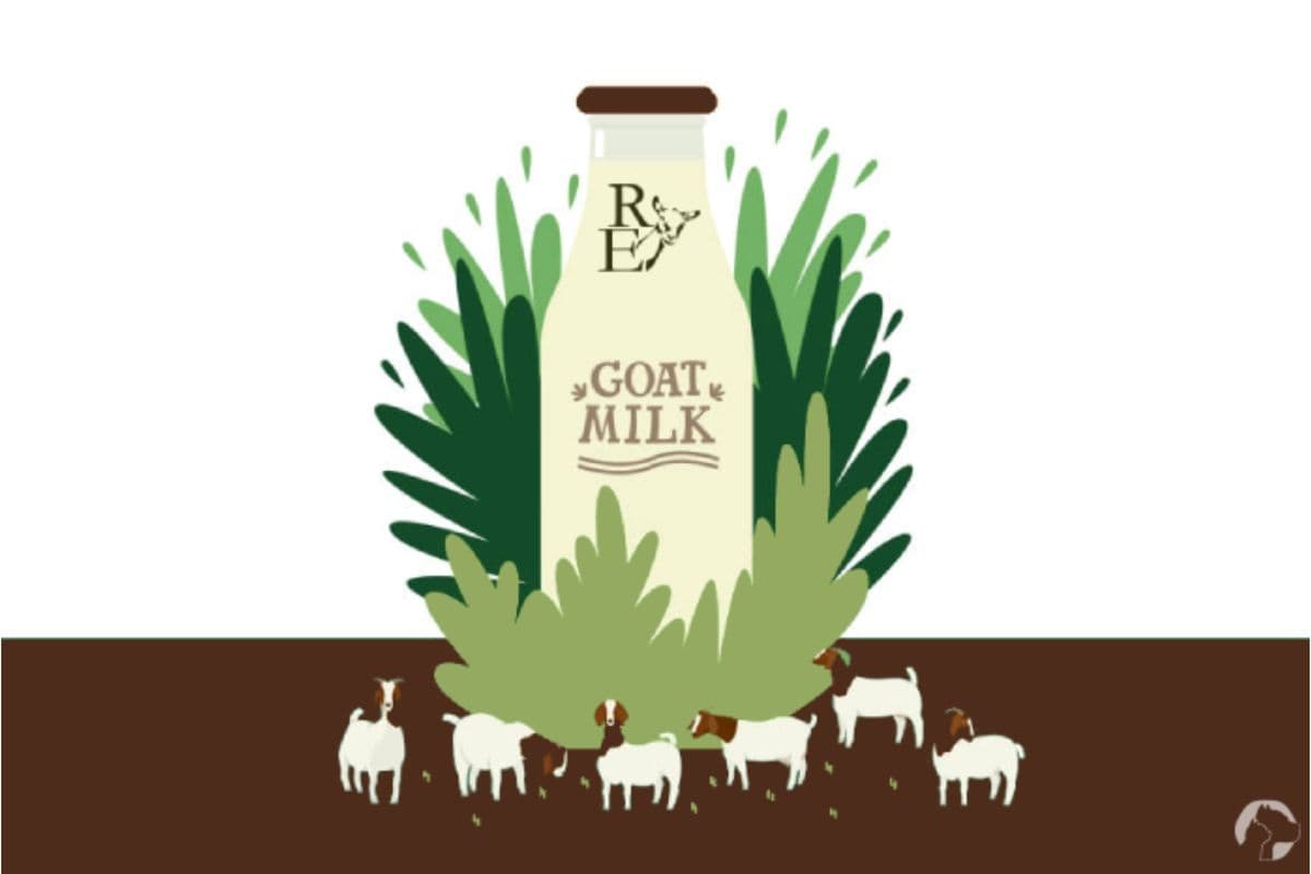 Goat Kefir, by River's Edge (1 L)