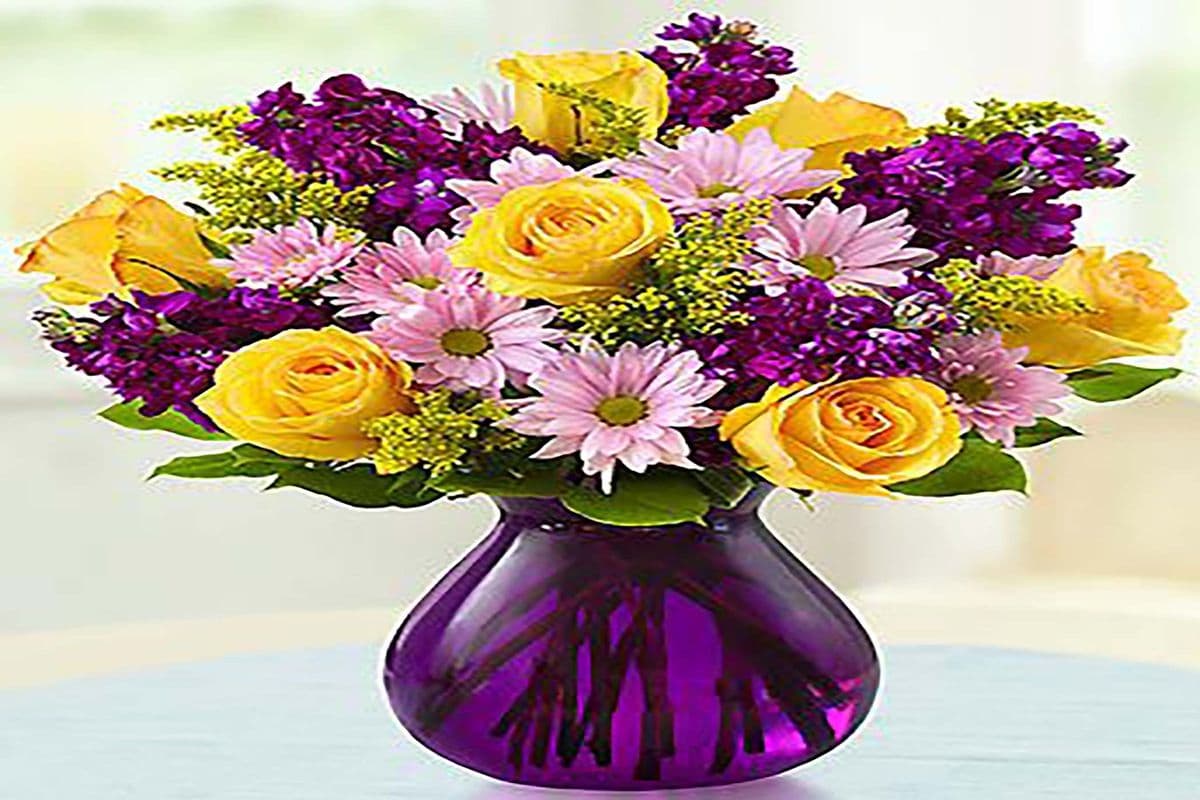 My Devotion - On Sale Today Most Popular