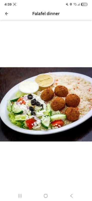 One Piece Falafel Dinner