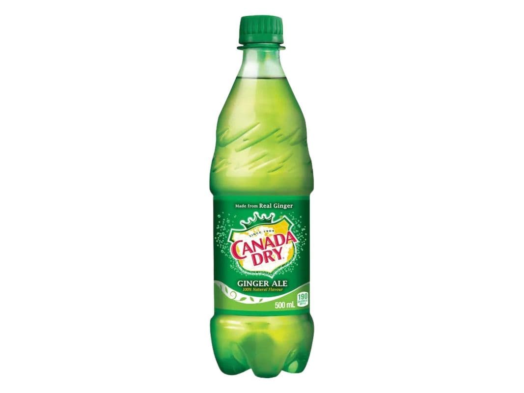 Ginger Ale 500ml Bottle