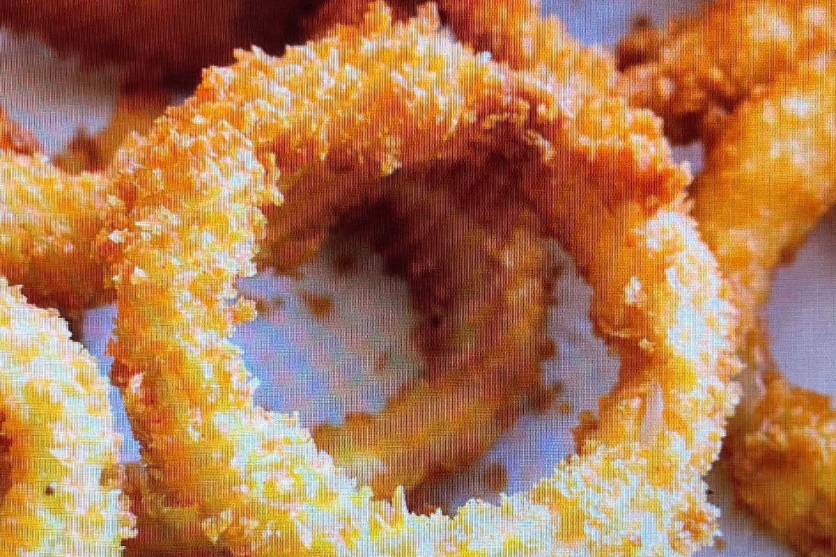 Cruncy Onion Rings