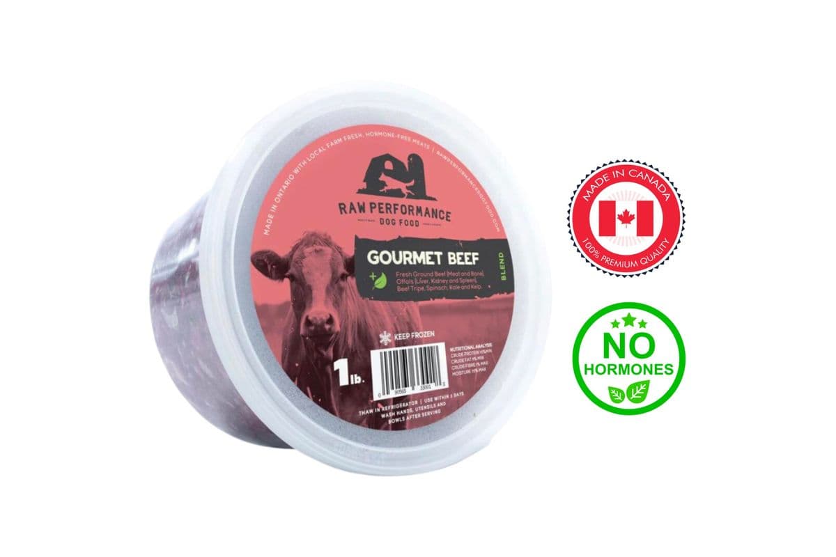Raw Performance Gourmet Beef Raw Dog Food (1 lb)